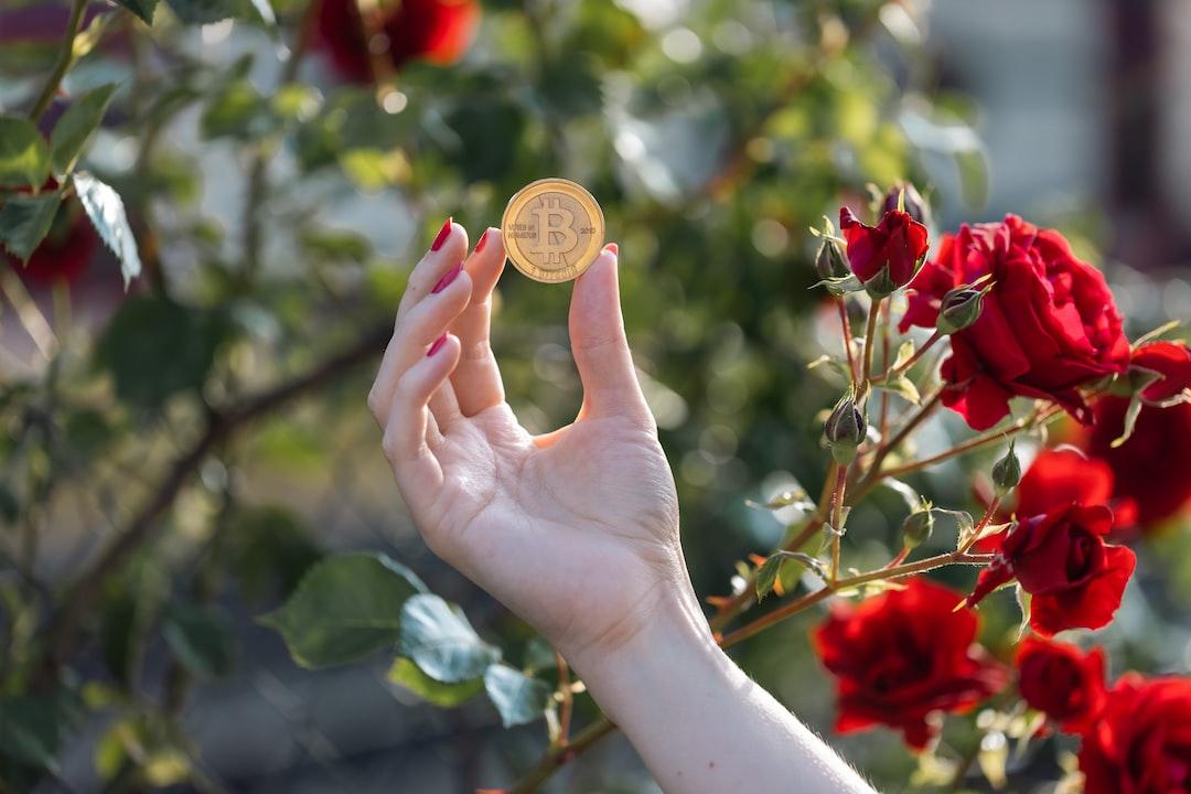 Bitwise 在伦敦证券交易所推出四只加密货币交易所交易基金（ETF）